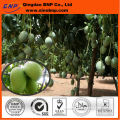 African Mango Seed Extract Appetite control